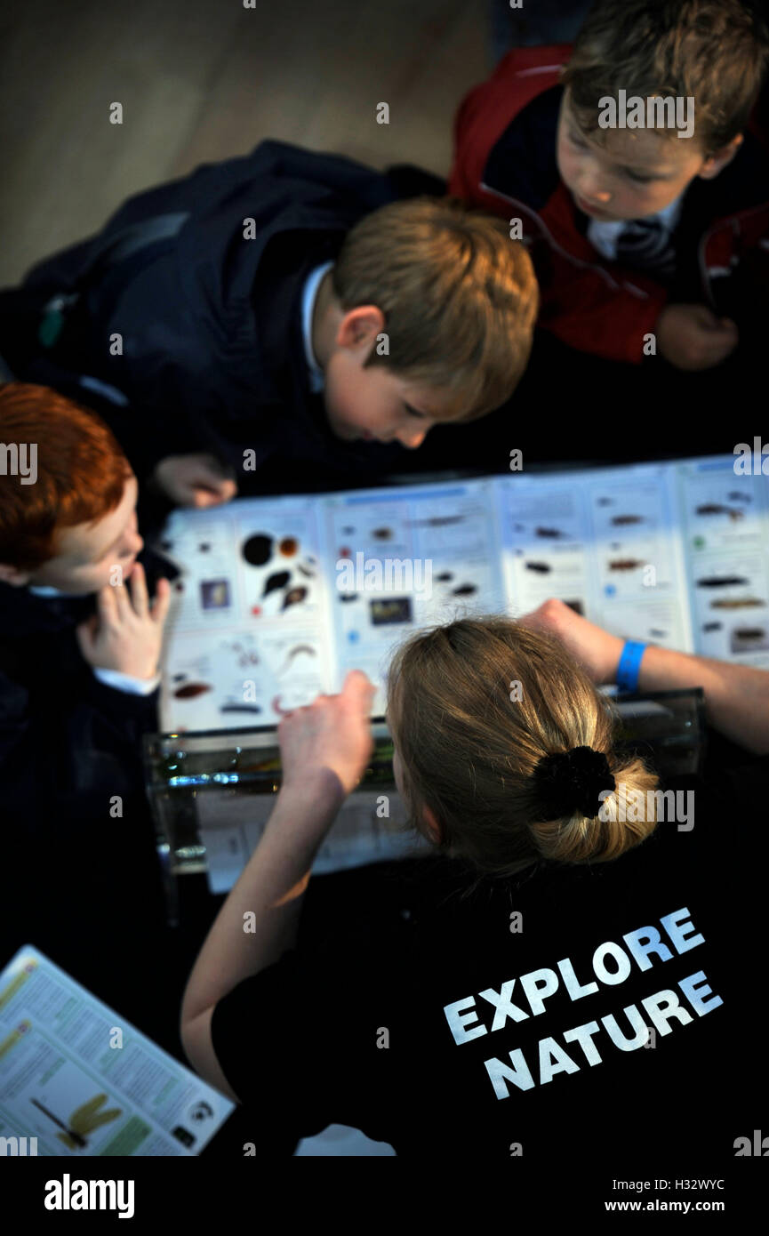 Schüler zu den Zeiten Cheltenham Science Festival, UK Stockfoto