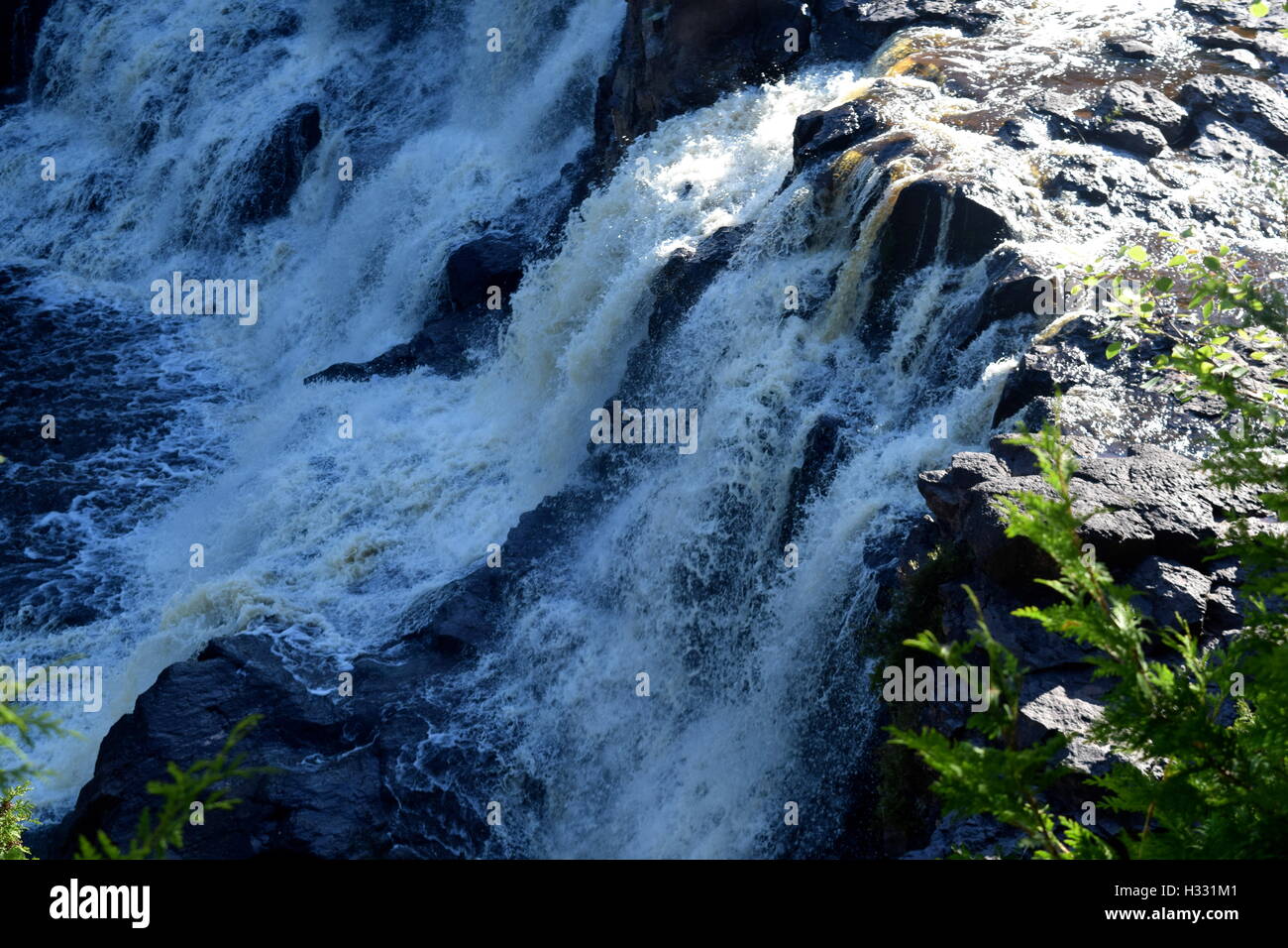 Stachelbeere fällt Stockfoto