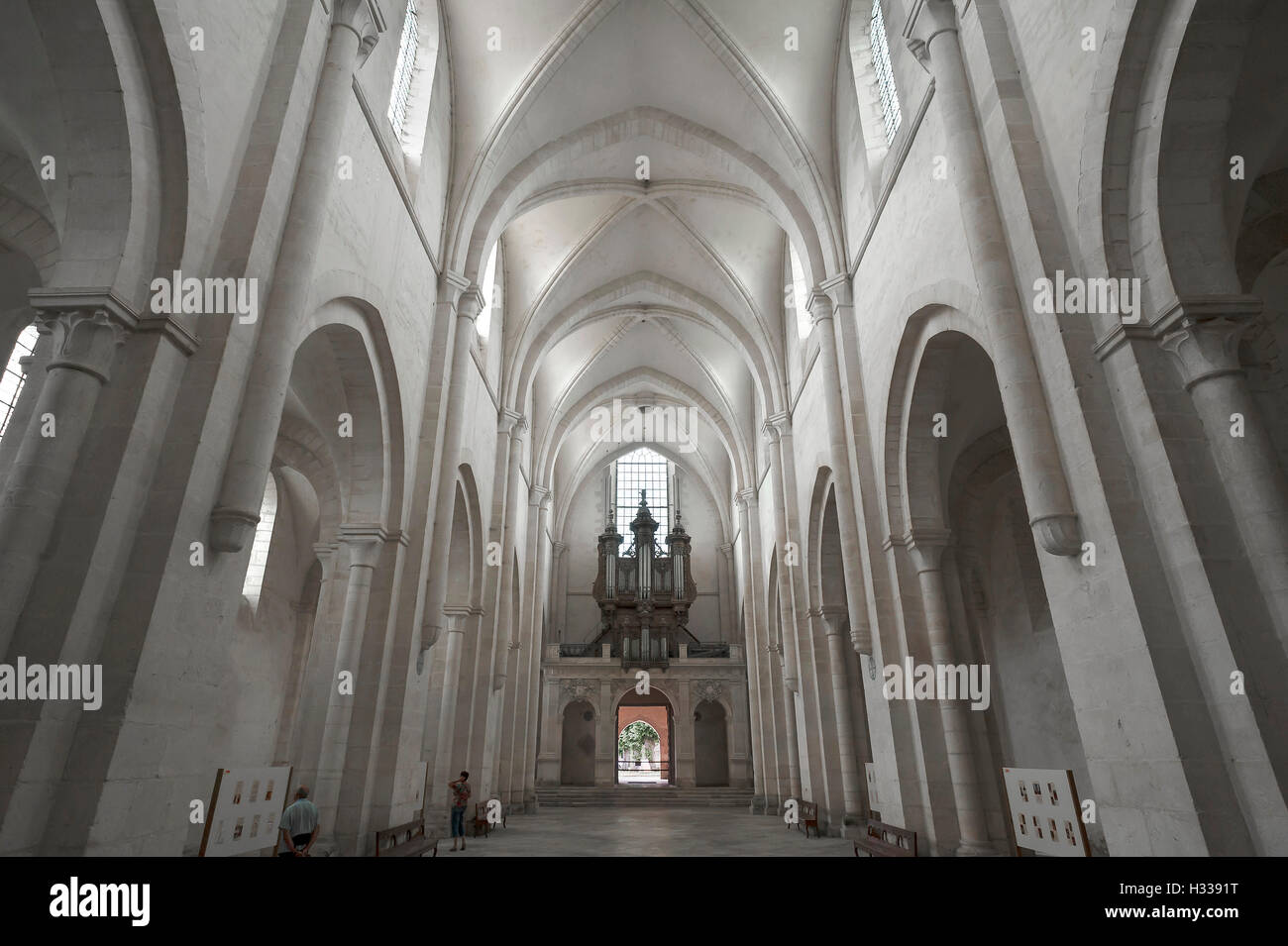Innenraum der Zisterzienser-Abtei von Pontigny, L'Abbaye de Pontigny, Burgund, Frankreich Stockfoto