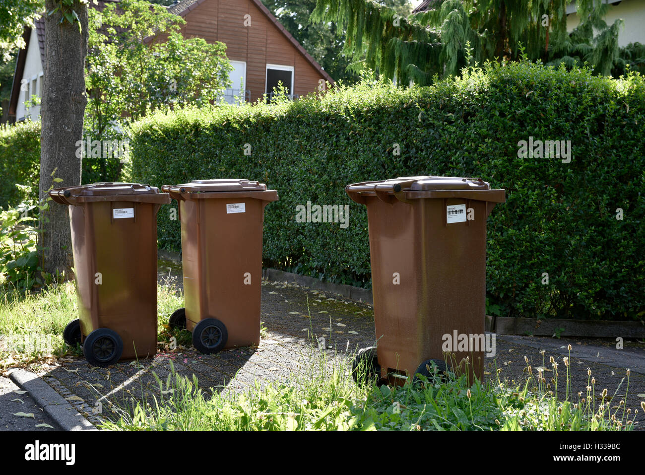 Braune Mülltonnen für organische Abfälle mit Barcode-Etiketten, Stuttgart, Baden-Württemberg, Deutschland Stockfoto