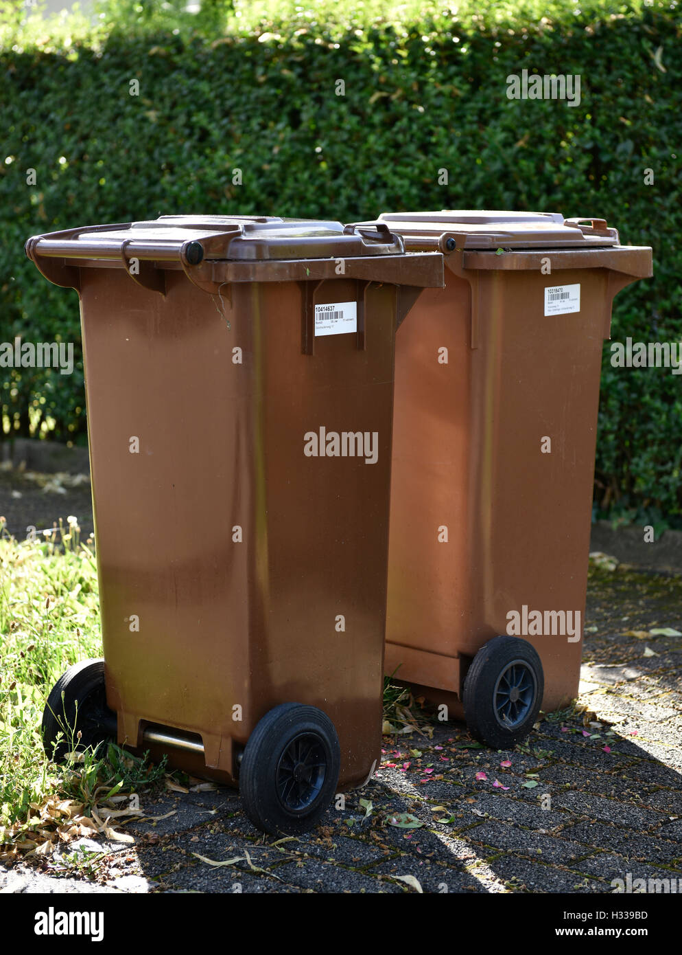 Braune Mülltonnen für organische Abfälle mit Barcode-Etiketten, Stuttgart, Baden-Württemberg, Deutschland Stockfoto