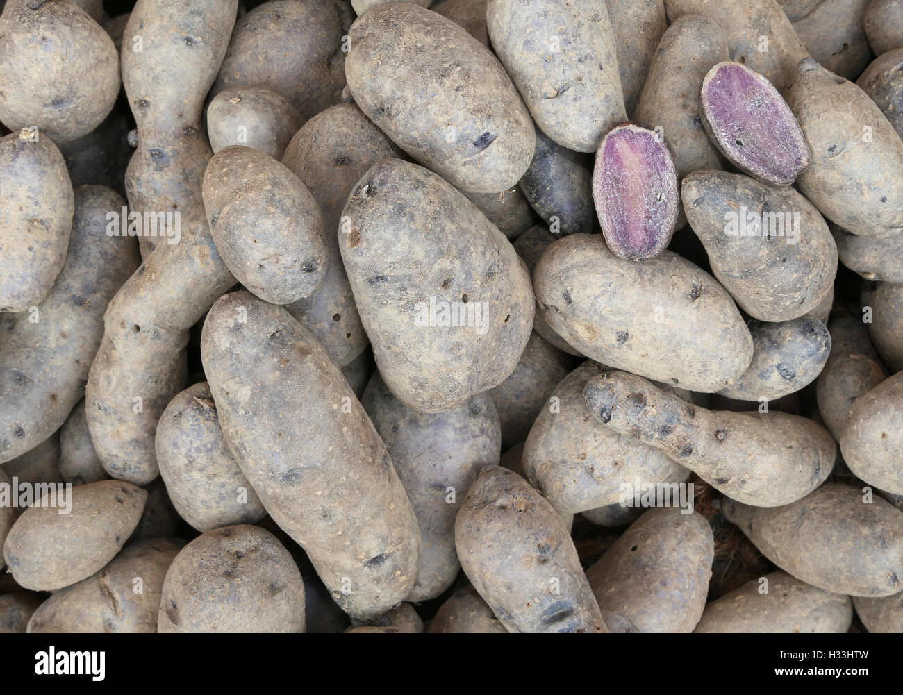 Hintergrund der rohen Kartoffeln zum Verkauf im Lebensmittelhandel Stockfoto