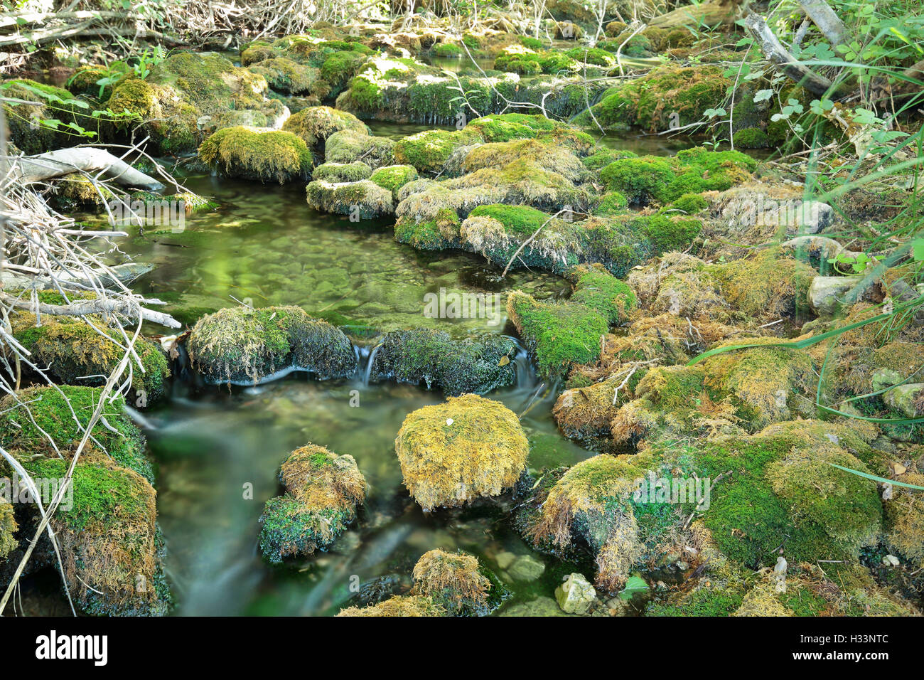 Wood River im Sommer, vorbei an den Munipal Begriff von Paterna del Madera, Albacete, Spanien. Horizontale Aufnahme mit Grüntönen. Stockfoto