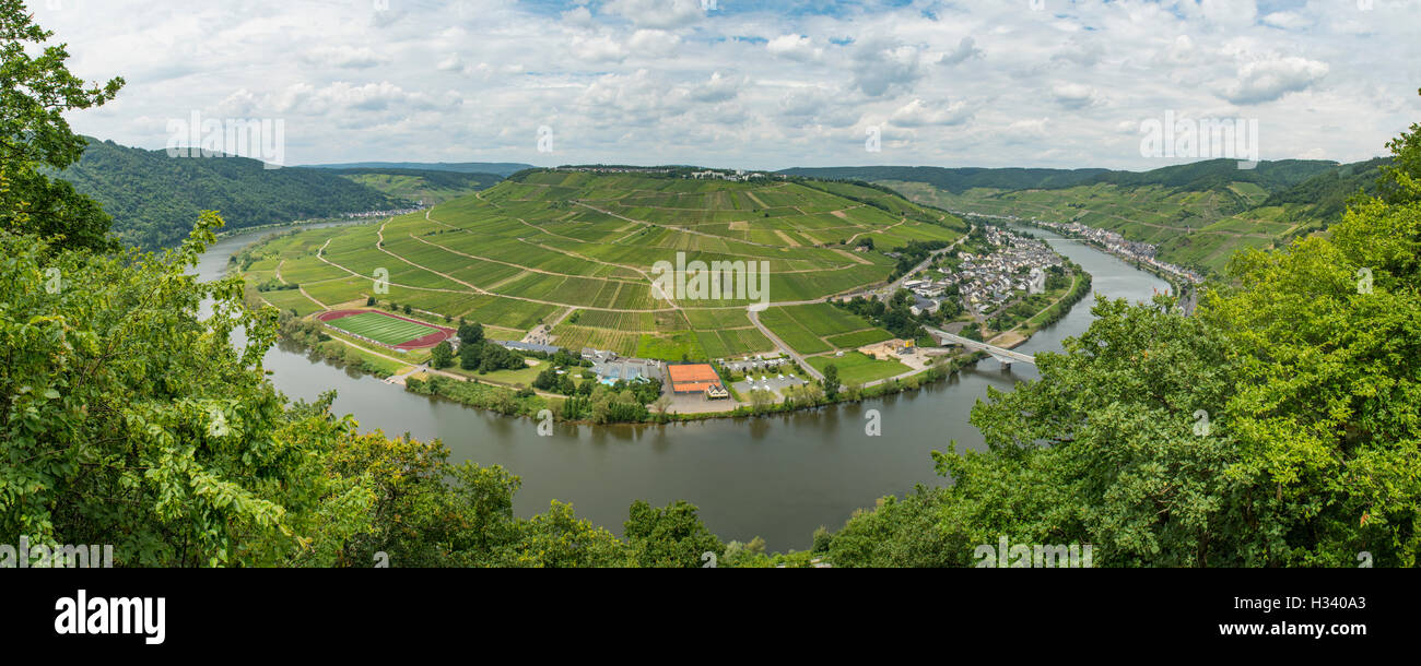 Zeller Hamm von Mosel Fluß Panorama, Zell, Rheinland Pfalz, Deutschland Stockfoto