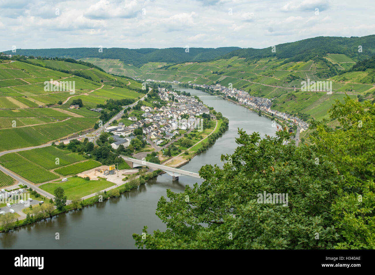 Zeller Hamm von Mosel Fluß, Zell, Rheinland Pfalz, Deutschland Stockfoto