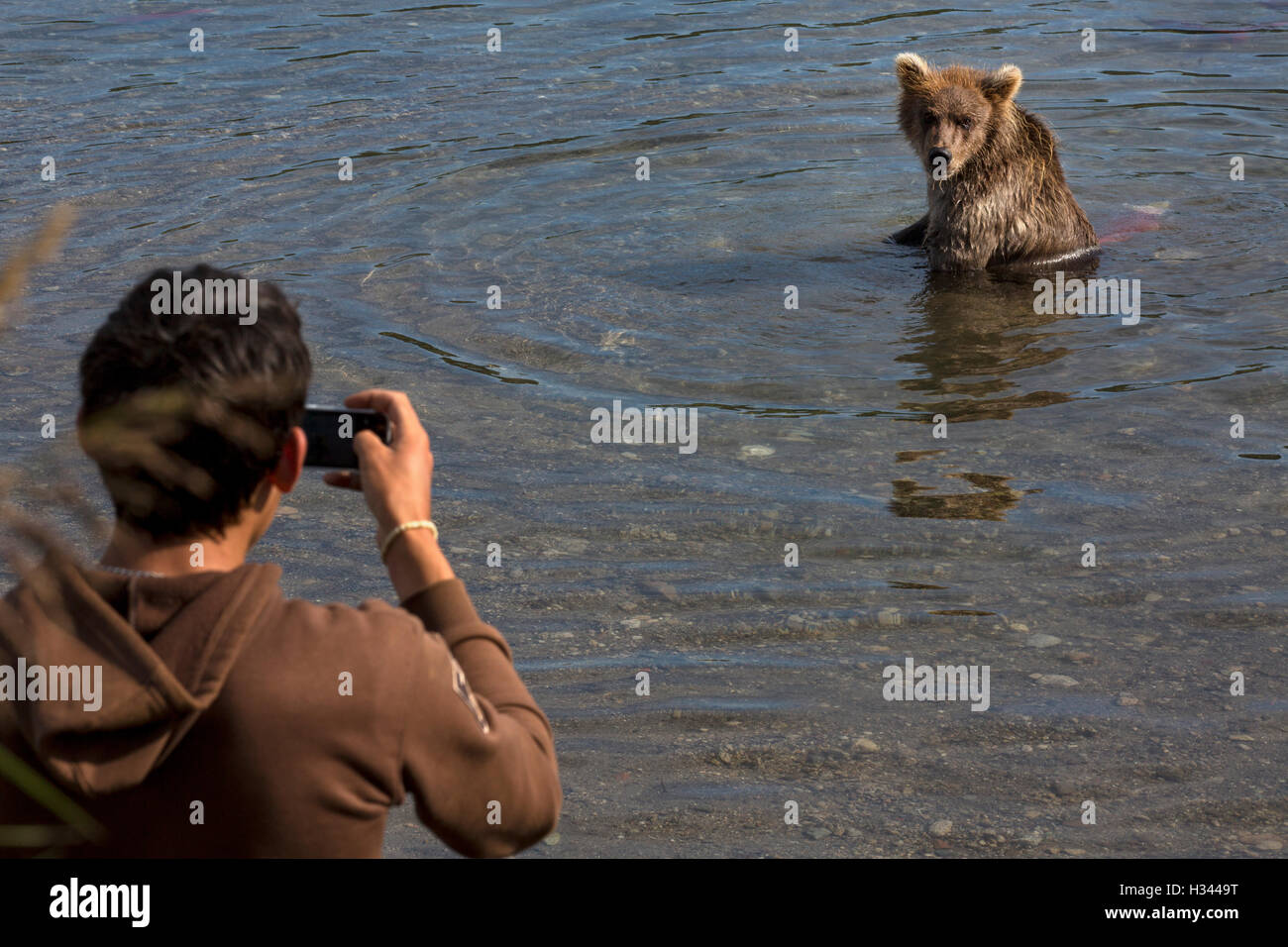 Tourist nimmt ein Bild des wilden Braunbär, die fängt einen Fisch in ihrem natürlichen Lebensraum in Kamtschatka-Region, Russland Stockfoto