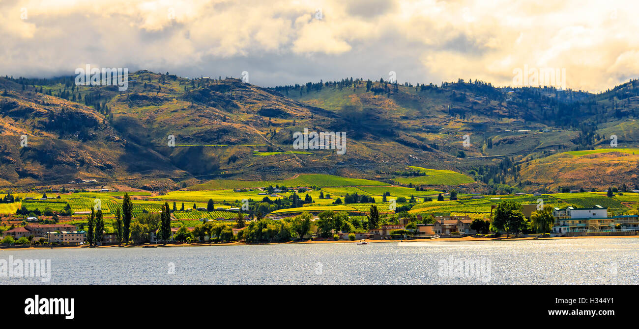 Hügeligem Ackerland des Okanagan Valley in British Columbia, Kanada Stockfoto