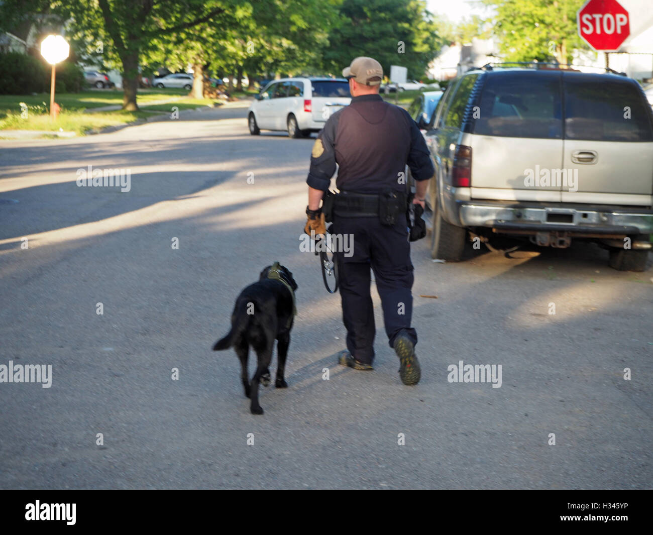 Polizei K9 Suche Hund und Hundeführer, Detroit, Michigan, USA Stockfoto