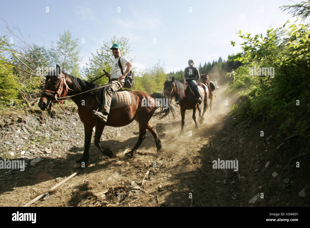 Touristen sind Pferd Reiten auf ein Tal in den Bergen Rodnei, Rumänien Stockfoto