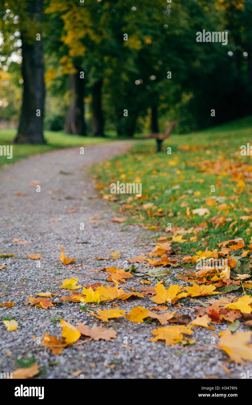 Drehen Weg im herbstlichen Park, Blätter auf Vordergrund gefallen Stockfoto
