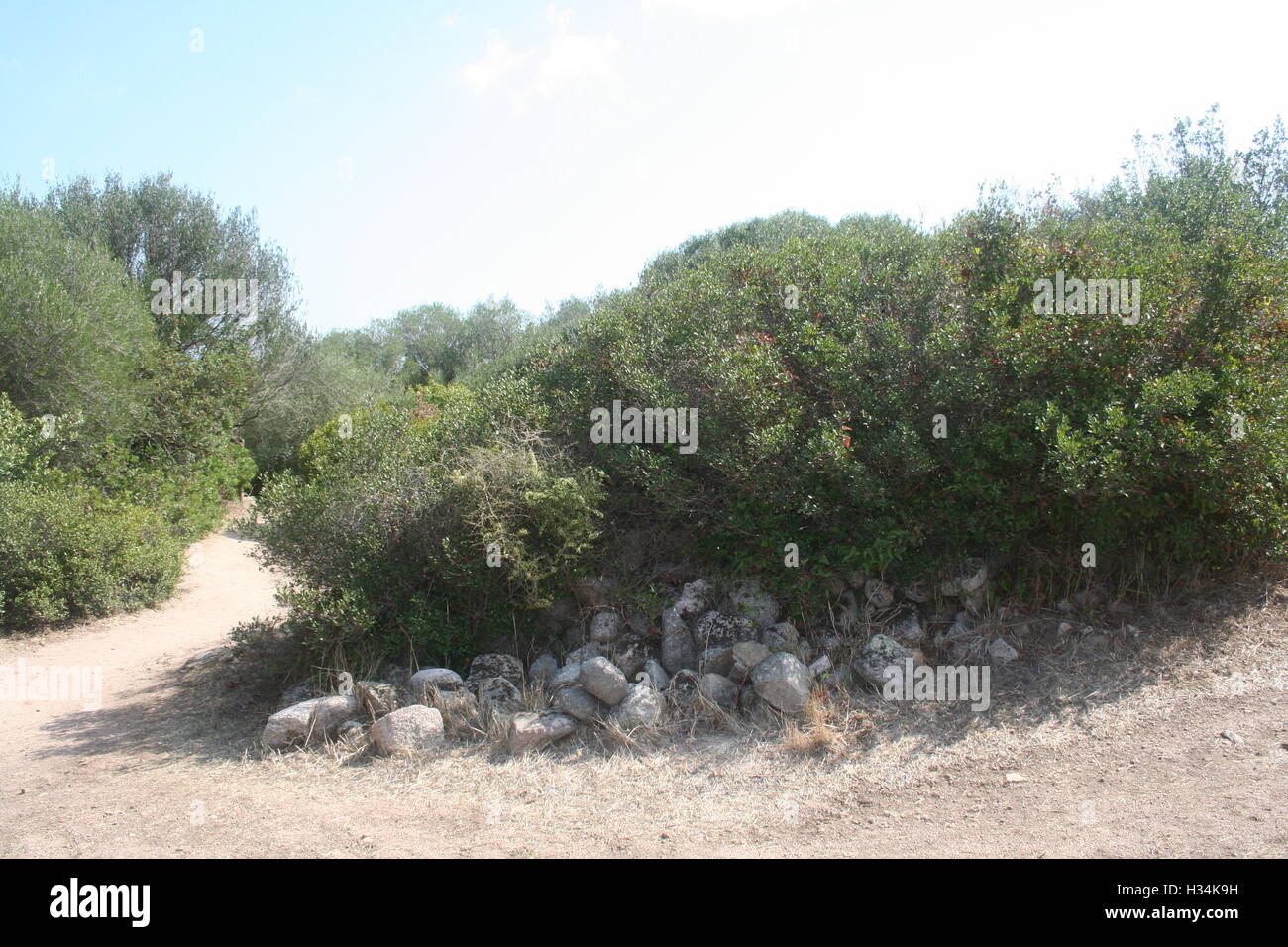Büschen umgeben von Felsen und ein Feldweg Stockfoto