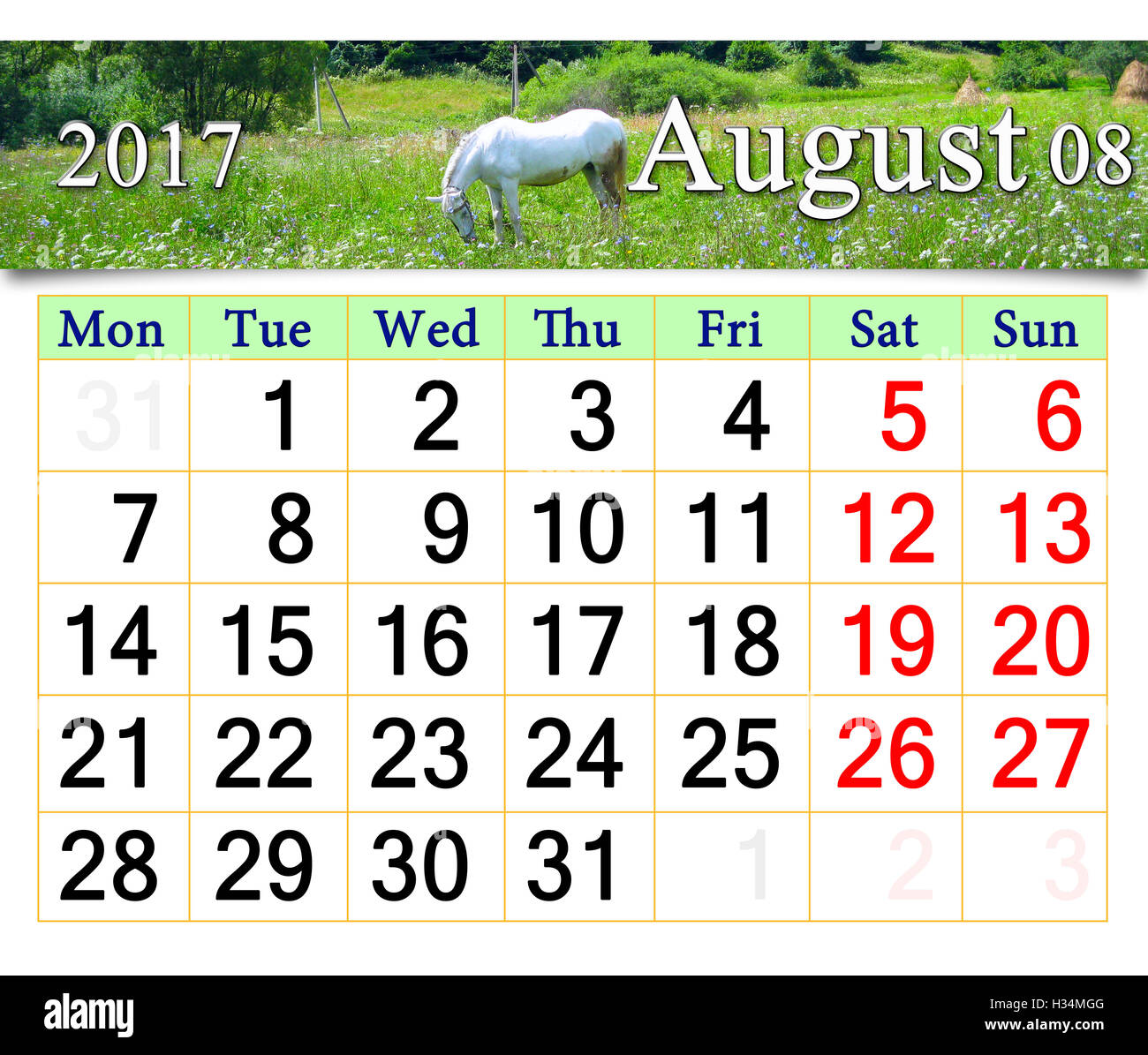 Kalender August 2017 mit weißen Pferd auf der Wiese weiden Stockfoto
