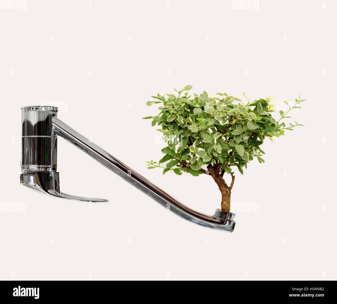 Wasser sparende Konzept einer Küchenarmatur mit einem üppigen grünen Baum wächst aus den Wasserhahn öffnen. Kopie-Space-Bereich für erneuerbare Stockfoto