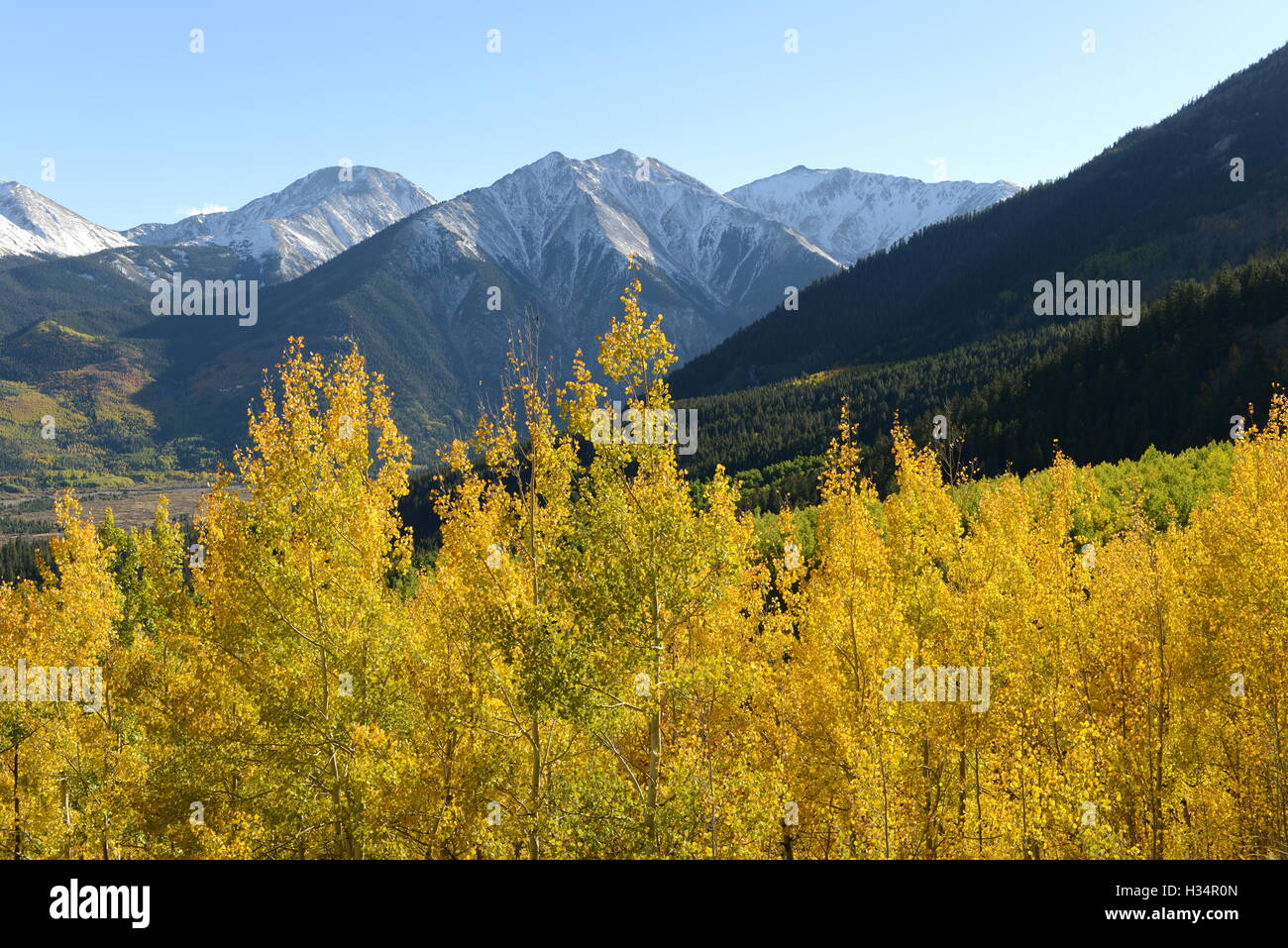 Herbst Berggipfel - Herbst-Blick auf Schnee begrenzt Berggipfel an Twin Lakes, Colorado, USA. Stockfoto