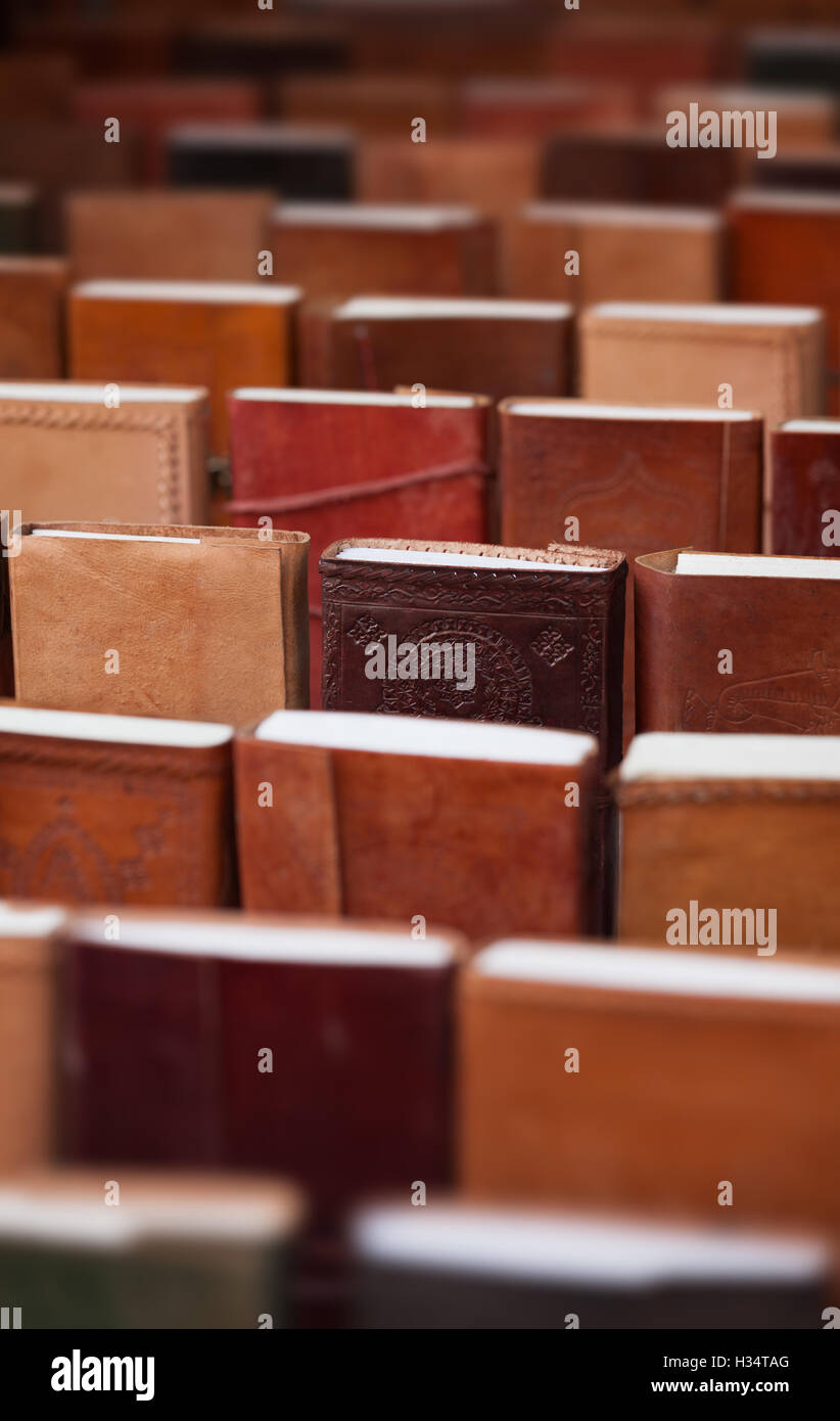 Udaipur, Indien - Notizbücher in Lederbezüge in einen Souvenir-shop Stockfoto