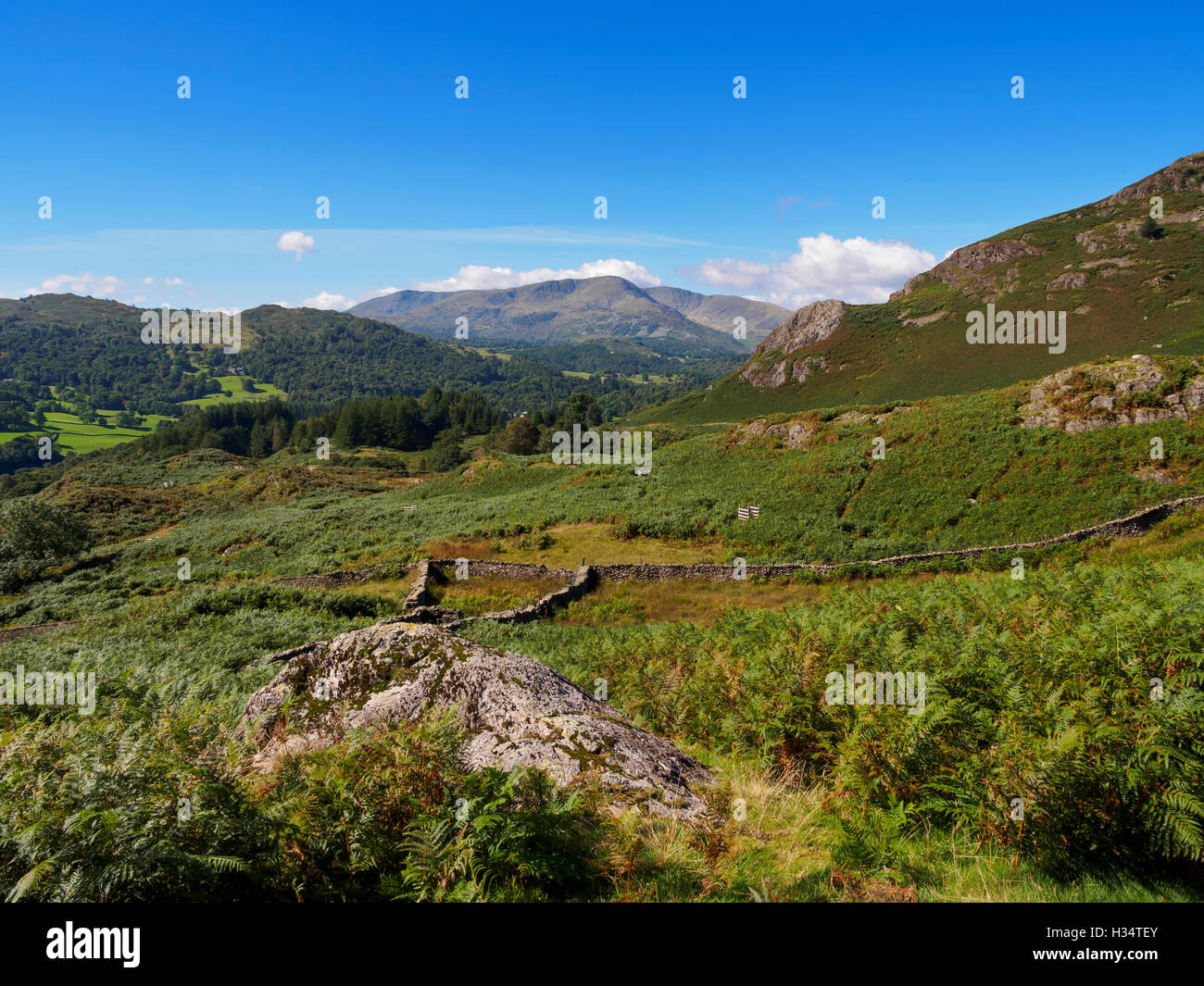 Loughrigg fiel, Lake District, Cumbria Stockfoto