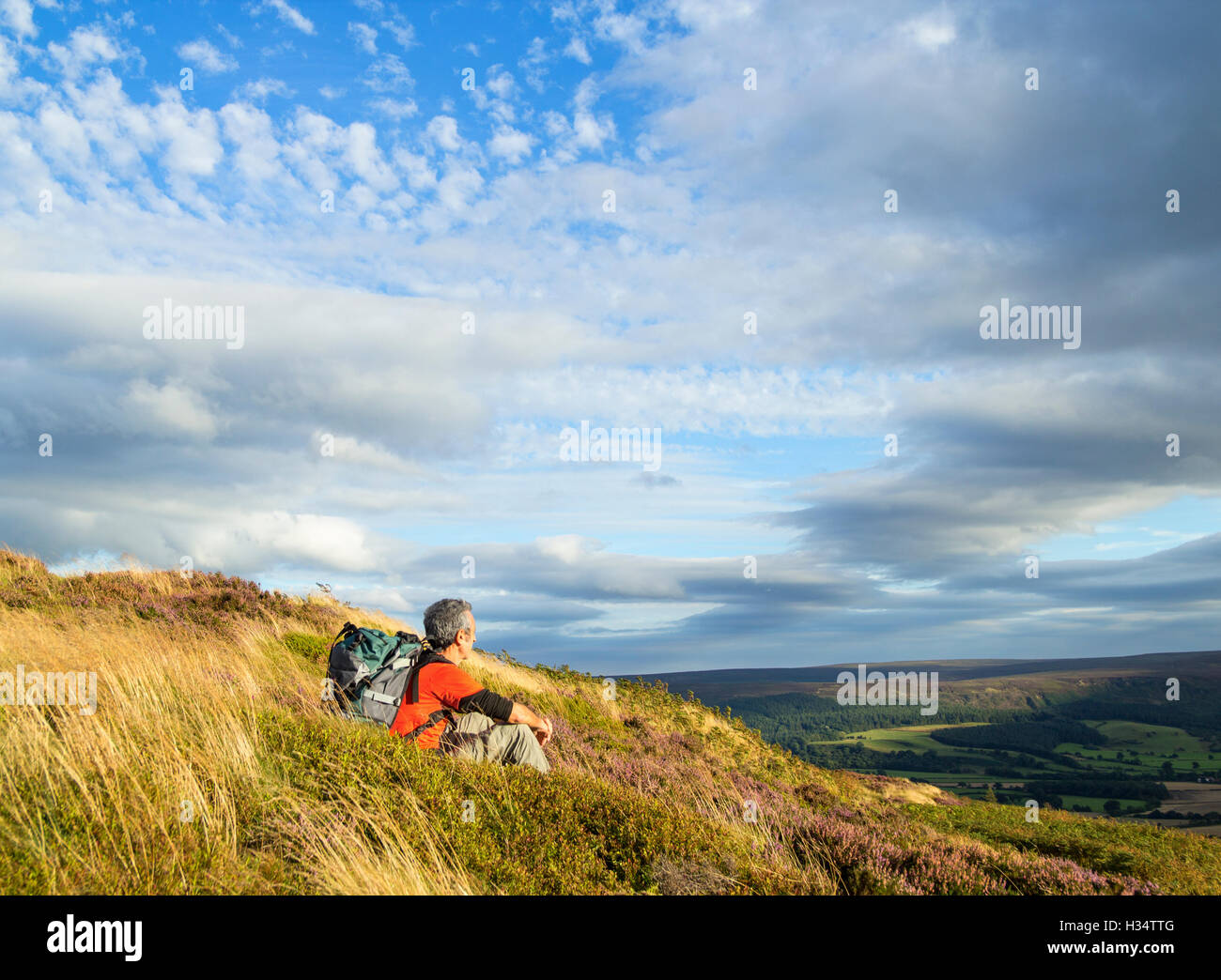 Wanderer auf dem Cleveland Art National Trail am Easby Moor, North York Moors National Park, England, UK Stockfoto