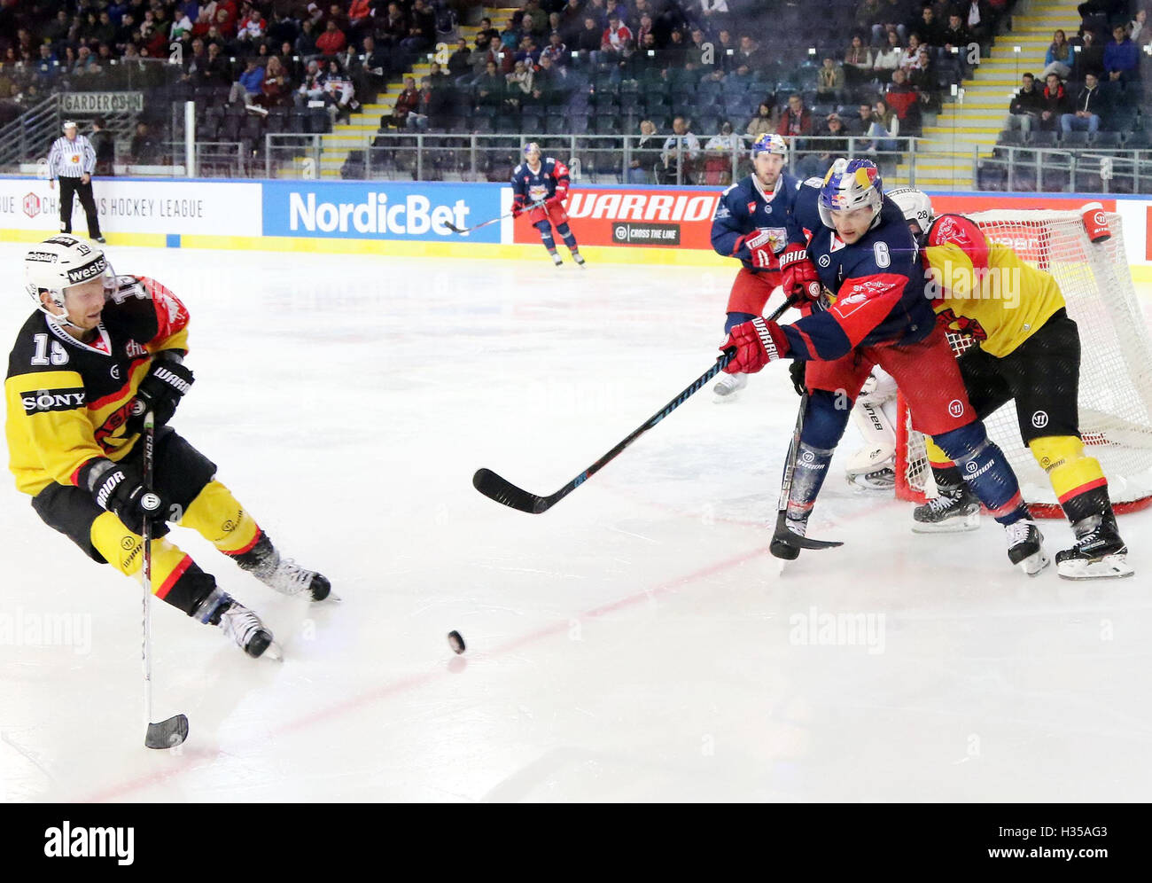 Salzburg, Österreich. 4. Oktober 2016. vom linken Ryan LASCH (Bern/USA), Alexander PALLESTRANG (Salzburg). Champions Hockey League, Red Bull Salzburg Vs SC Bern, Salzburg, Eisarena, 4. Oktober 2016, nach der Gruppenphase jetzt in der ersten k.o.-Runde der besten 32 Mannschaften Europas spielen © Wolfgang Fehrmann/ZUMA Draht/Alamy Live News Stockfoto