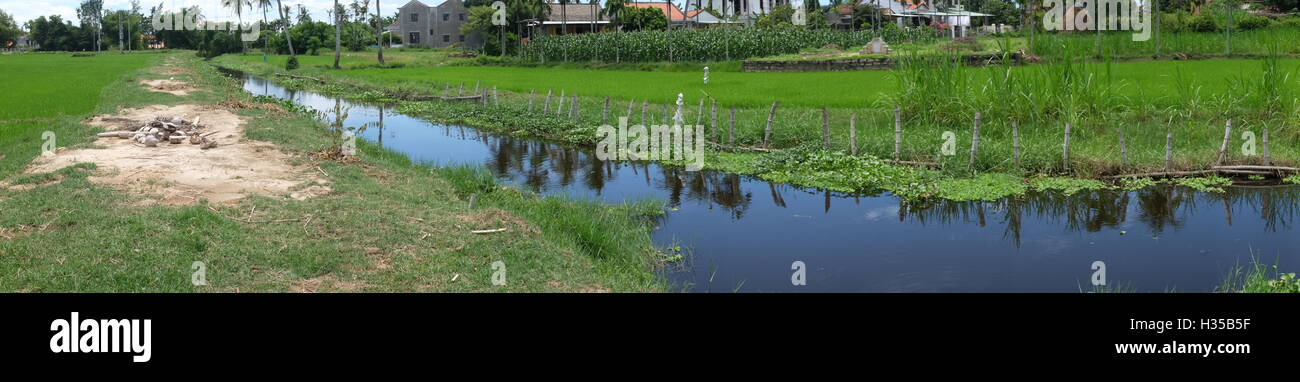 Fluss, Sommer, Tropen, blau, Wasser, grün, Panorama Stockfoto