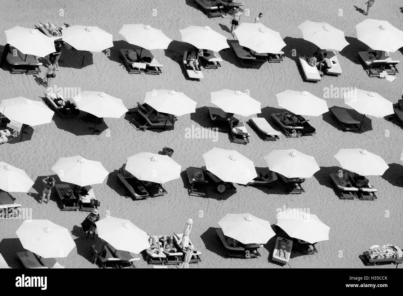 Stadtstrand Blick von oben in Nha Trang - Vietnam Stockfoto