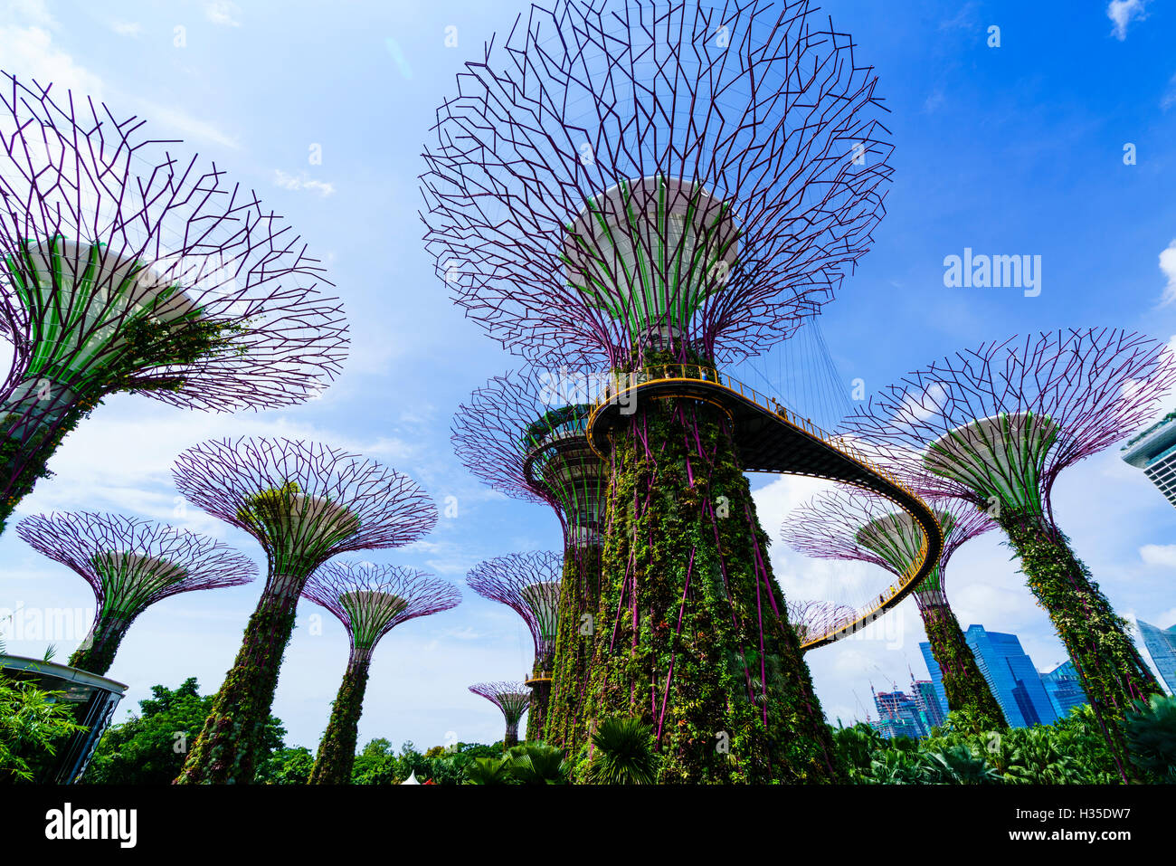 SuperTree Grove in den Gärten durch die Bucht, eine futuristische Botanischer Garten und Park, Marina Bay, Singapur Stockfoto