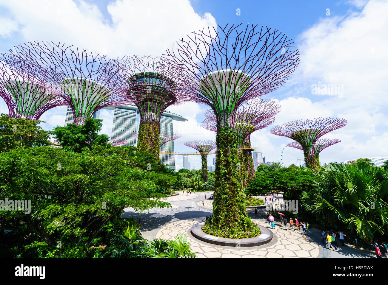 SuperTree Grove in den Gärten durch die Bucht, eine futuristische Botanischer Garten und Park, Marina Bay, Singapur Stockfoto