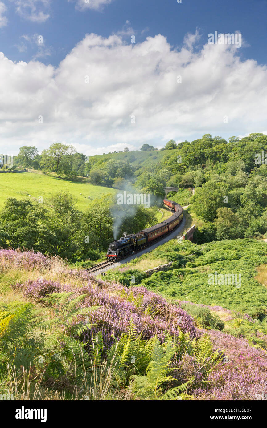 Eine Dampflok ziehen Kutschen durch Darnholme an der North Yorkshire Dampf Museumsbahn, Yorkshire, England, UK Stockfoto