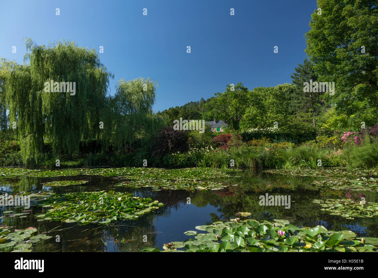 Haus hinter dem Teich Seerose, Giverny, Normandie, Frankreich