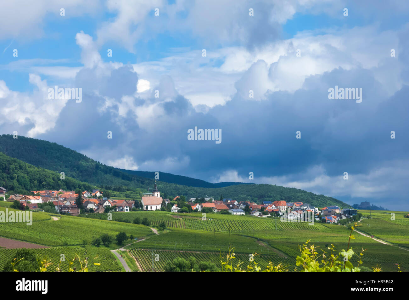 Dorf unter Weinberge in der Pfalz Region, Deutschland Stockfoto