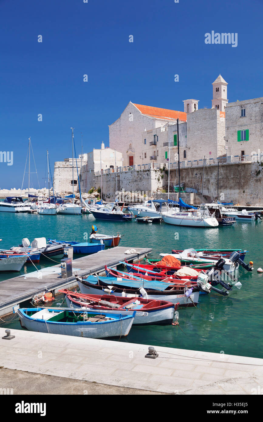 Angelboote/Fischerboote im Hafen, Altstadt mit Kathedrale, Bezirk Giovinazzo, Bari, Apulien, Italien Stockfoto
