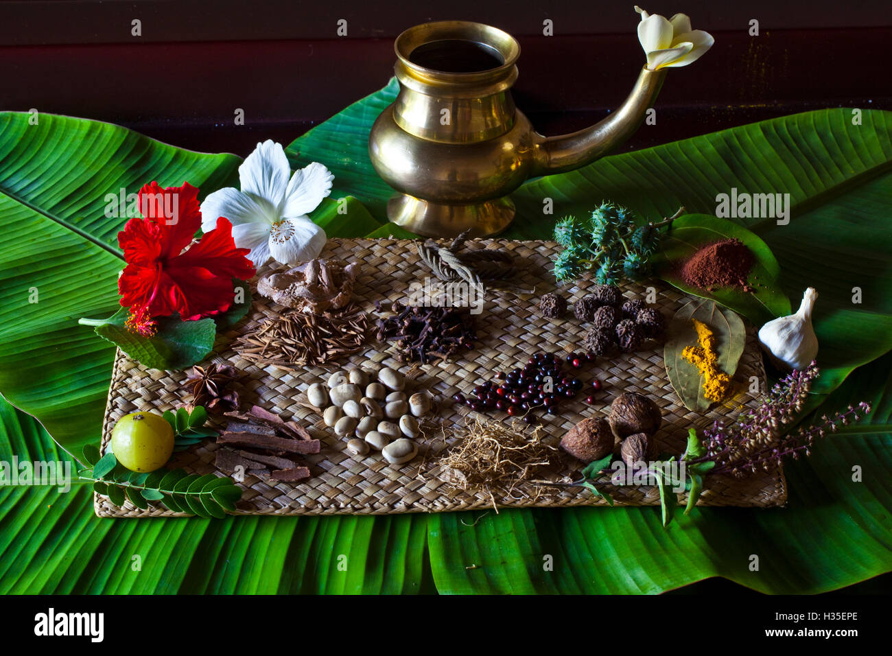 Verschiedene indische Gewürze auf dem Display an Swaswara, Karnataka, Indien Stockfoto