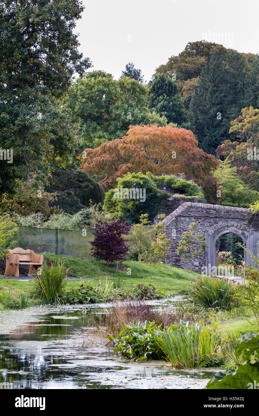 Herbst Seeblick Arboretum in den ummauerten Garten am Gartenhaus, Buckland Monachorum, Devon UK Stockfoto