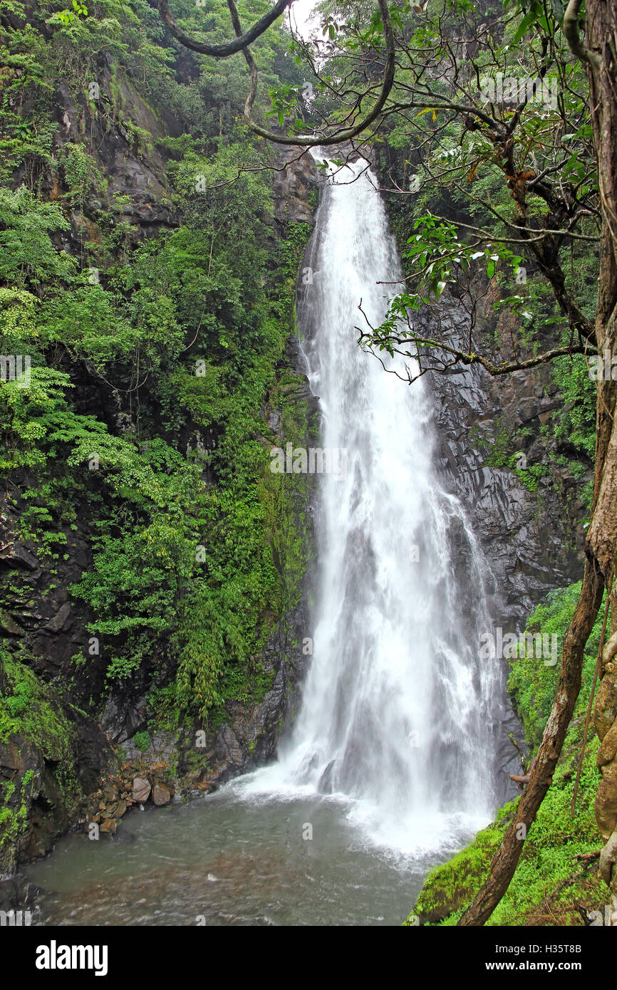 Mynapi, Mainapi, Wasserfall während der Monsunzeit im Netravali Wald von Goa, Indien. Wasserfall liegt am Fluss Salaulim. Stockfoto