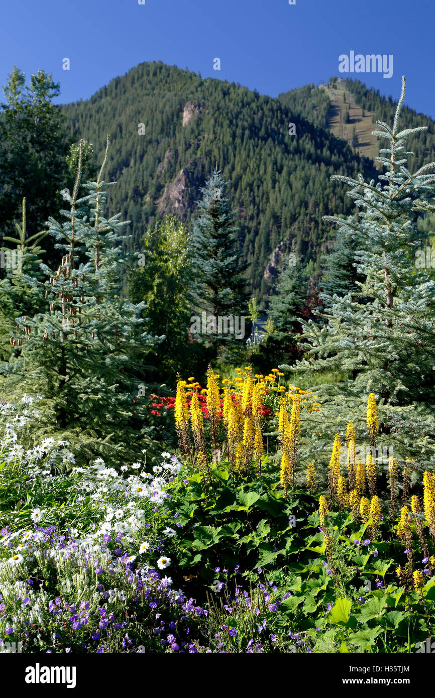 Berge, Blumen und Bäumen, John Denver Sanctuary, Aspen, Colorado USA Stockfoto