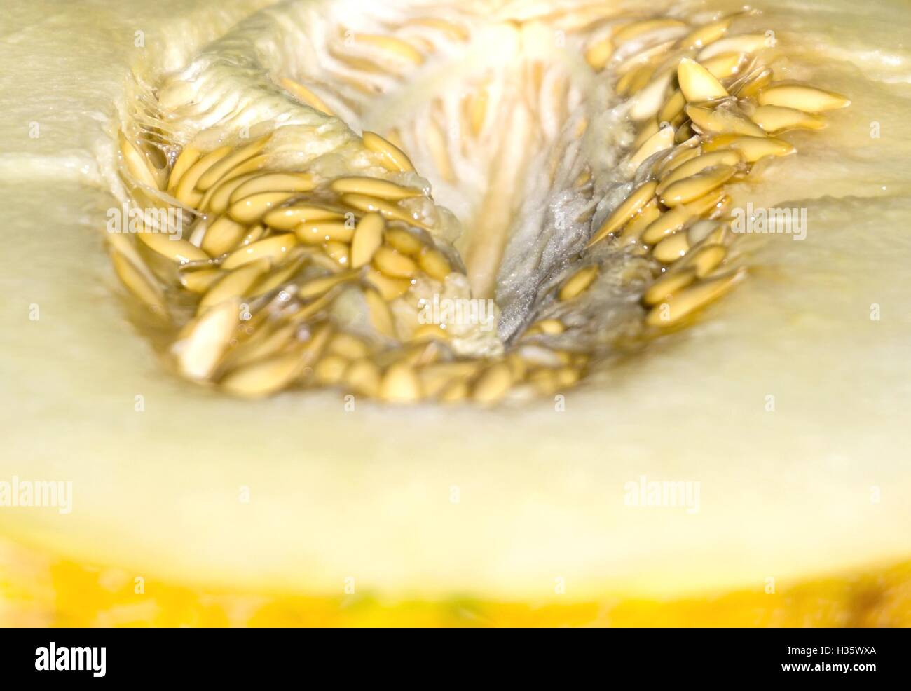 Nahaufnahme der Honigmelone Stockfoto