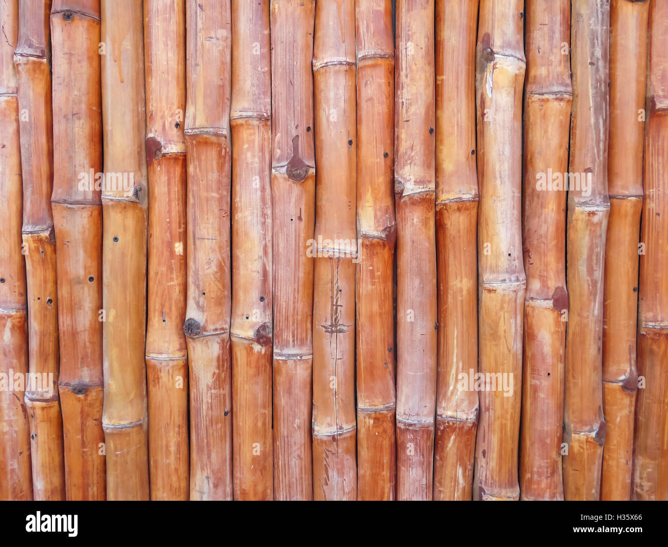 Bambus-Wand-Hintergrund Stockfoto