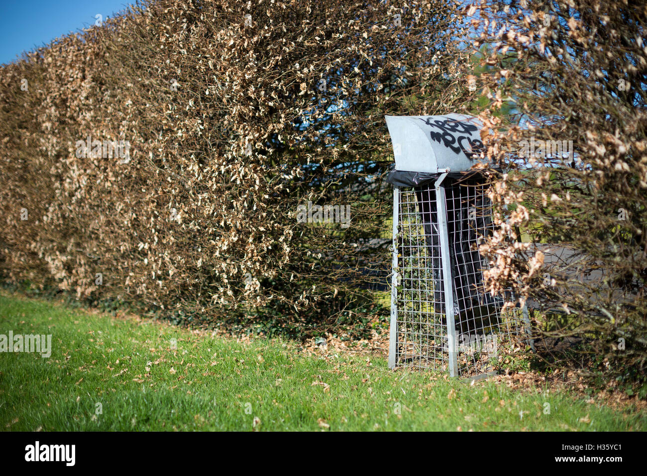 Alt bin in eine Hecke. Stockfoto