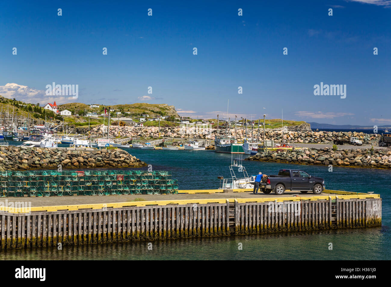 Conception bay newfoundland Fotos und Bildmaterial in hoher Auflösung