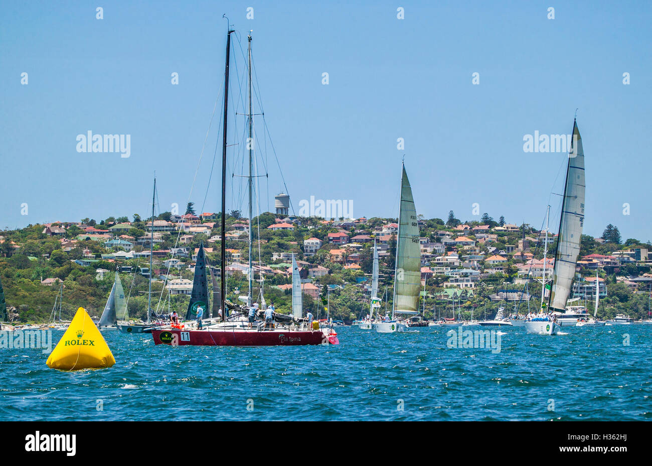 Australien, New South Wales, Sydney Harbour, Yachten, Vorbereitung für den Start der Bluwater klassische Sydney to Hobart Yacht Race Stockfoto