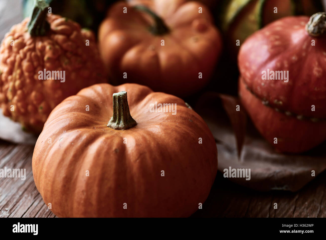 Nahaufnahme von einige verschiedene Kürbisse auf einer rustikalen Holzoberfläche Stockfoto