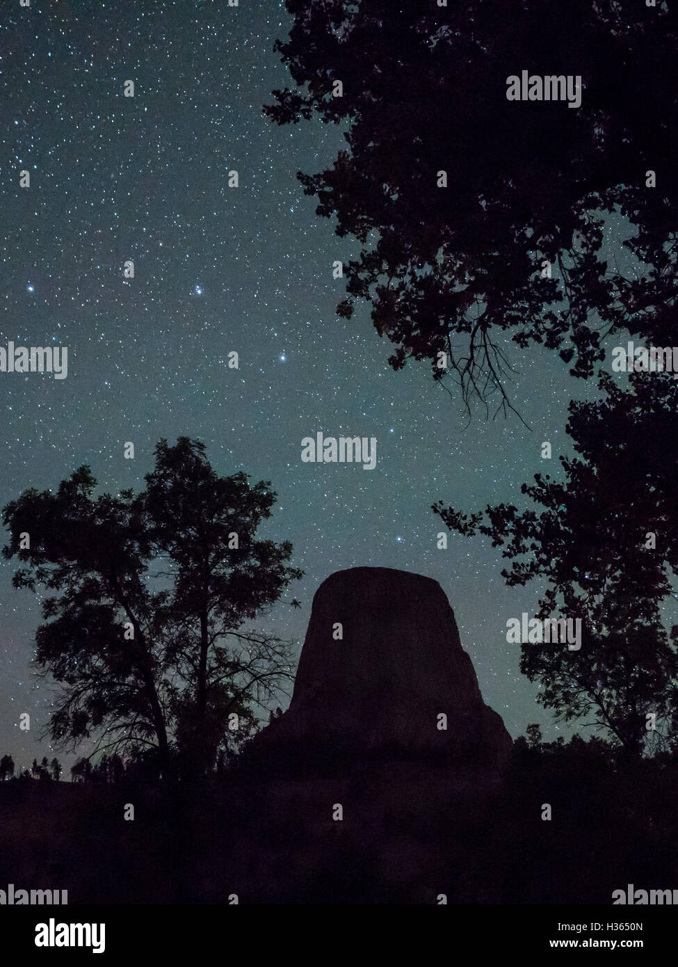 Sterne über Teufels Turm aus Belle Fourche Campground, Teufels Tower National Monument, Wyoming. Stockfoto