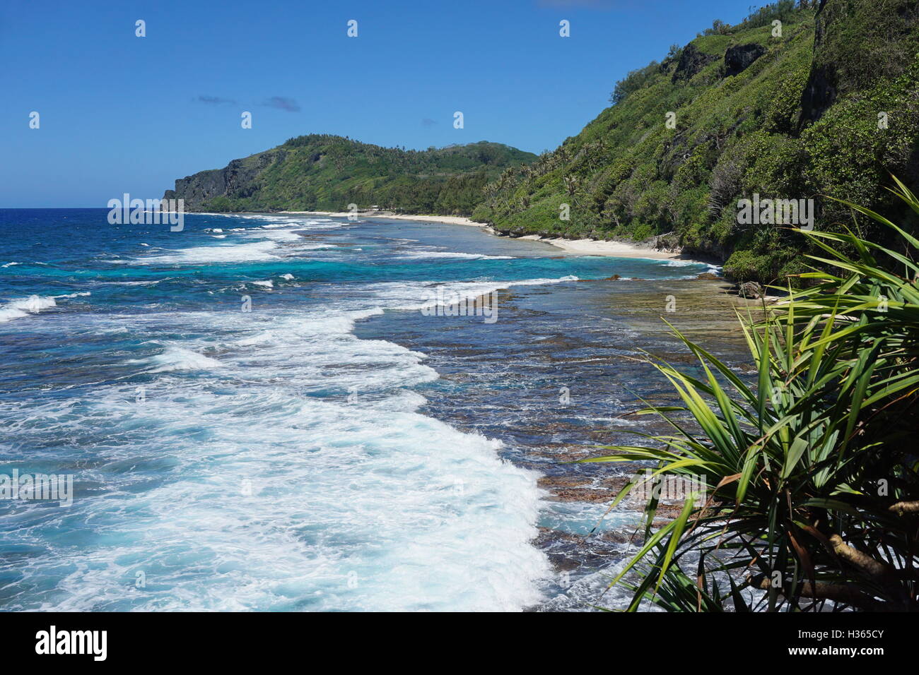 Küstenlandschaft mit Wellen brechen sich am Ufer Meeres von Rurutu Island, Süd-Pazifik, Austral, Französisch-Polynesien Stockfoto