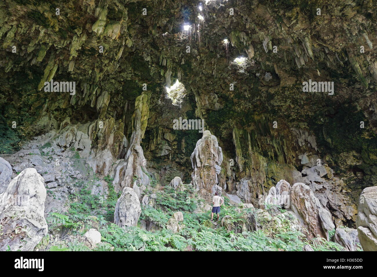 Große Kalkstein-Höhle mit Löchern in der Decke und ein Mann stand, Ana Aeo, Rurutu Island, Pacific, Austral, Französisch-Polynesien Stockfoto