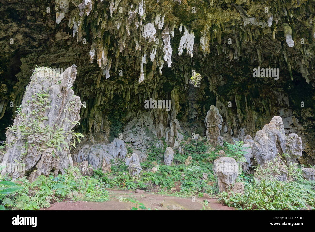 Große Kalkstein-Höhle mit Stalaktiten und Stalagmiten, Ana Aeo, Rurutu Island, South Pacific, Austral, Französisch-Polynesien Stockfoto