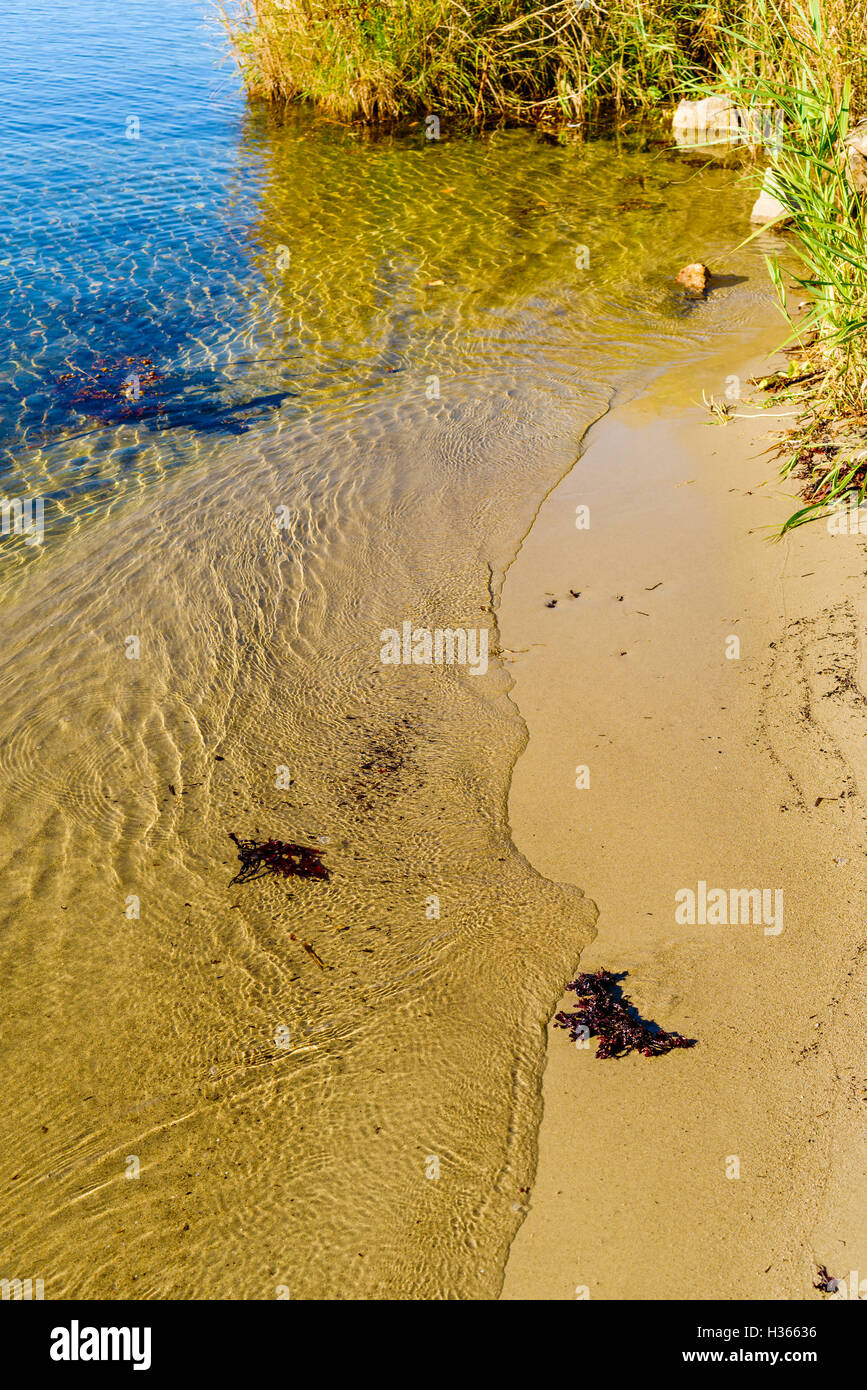 Kleines Stück Sandstrand mit wirbelnden Mini Wellen spielen mit den Algen. Stockfoto