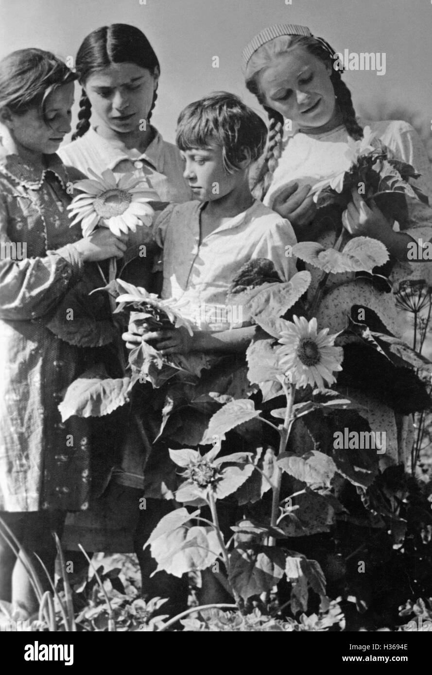 Deutsche Siedler in Russland 1942 Stockfoto