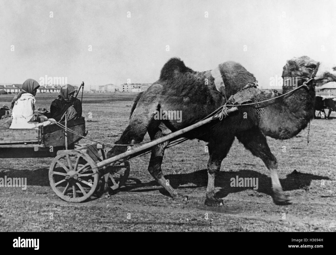 Deutsche Siedler in Russland, 1930 Stockfoto