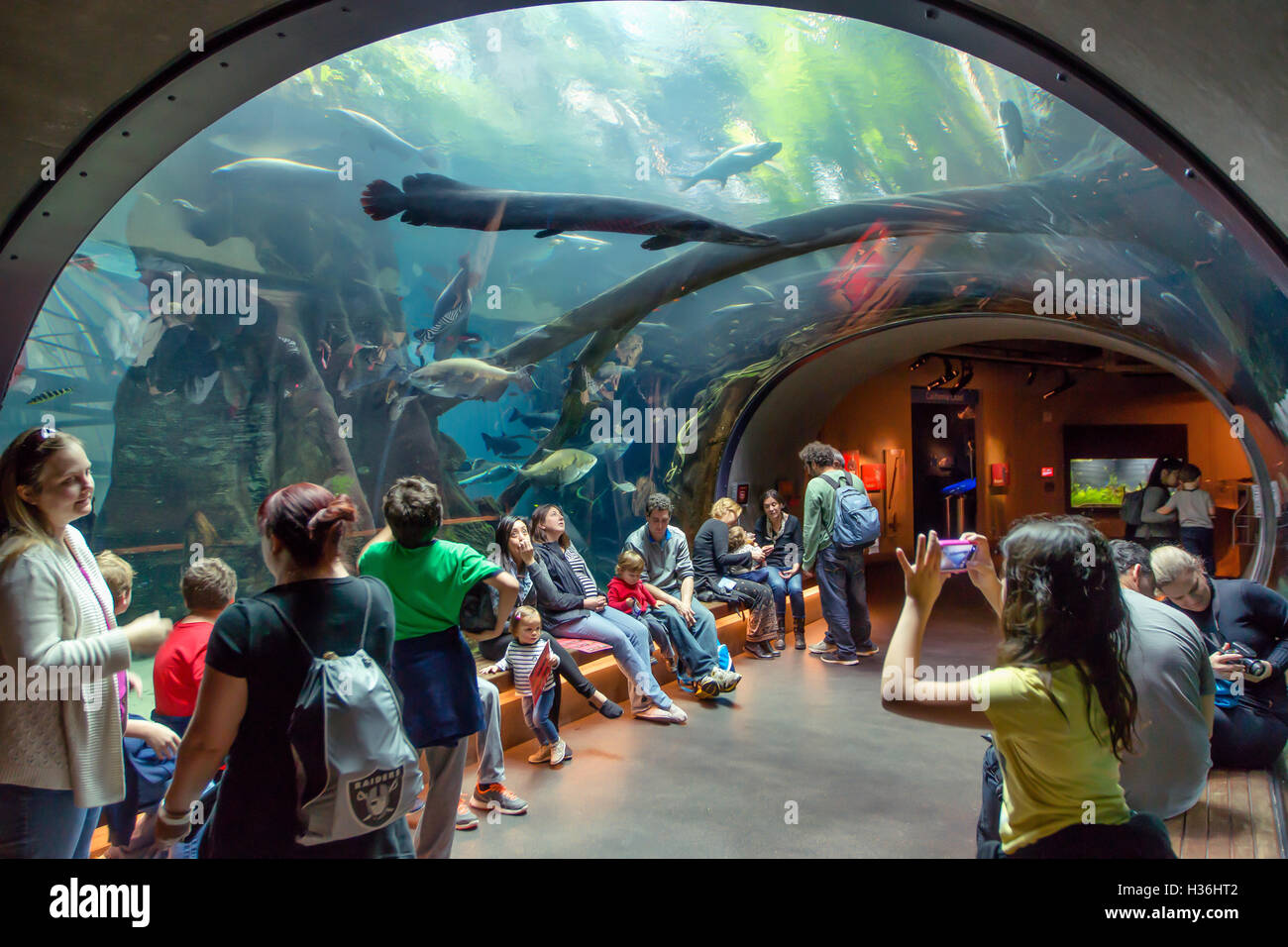 Museum der akademie der wissenschaften Fotos und Bildmaterial in