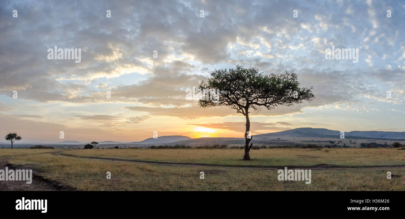 Sonnenaufgang auf der Masai Plains Stockfoto