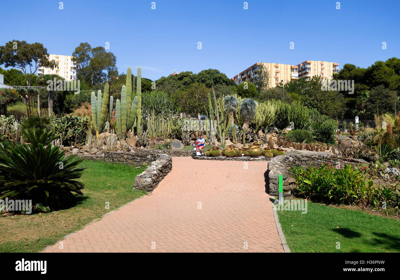 Der Kaktusgarten in Parque Paloma, Paloma Park, Benalmadena, Spanien. Stockfoto